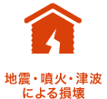 地震・噴火・津波による損壊